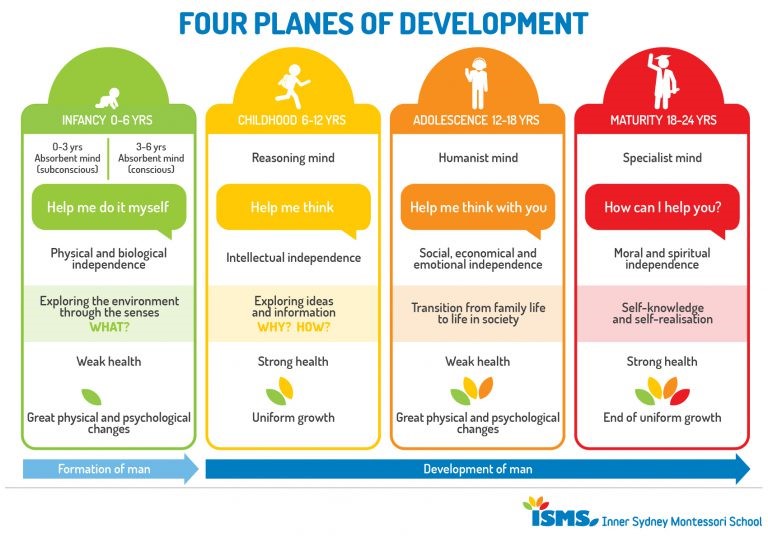 Intellectual development in school age hot sale